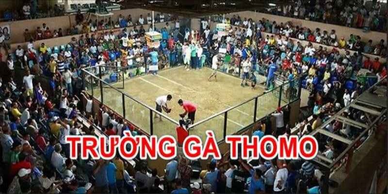 Phúc Baraca nổi tiếng trong giới đấu gà nổi tiếng nhất Châu Á