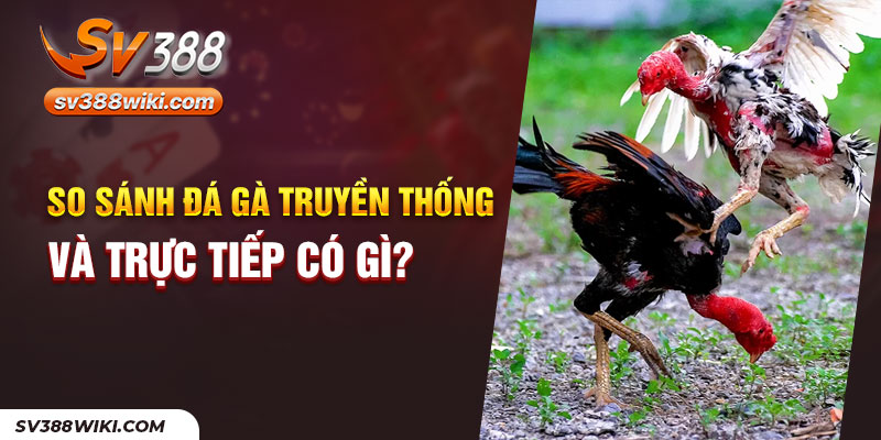 So sánh đá gà truyền thống và trực tiếp có gì?